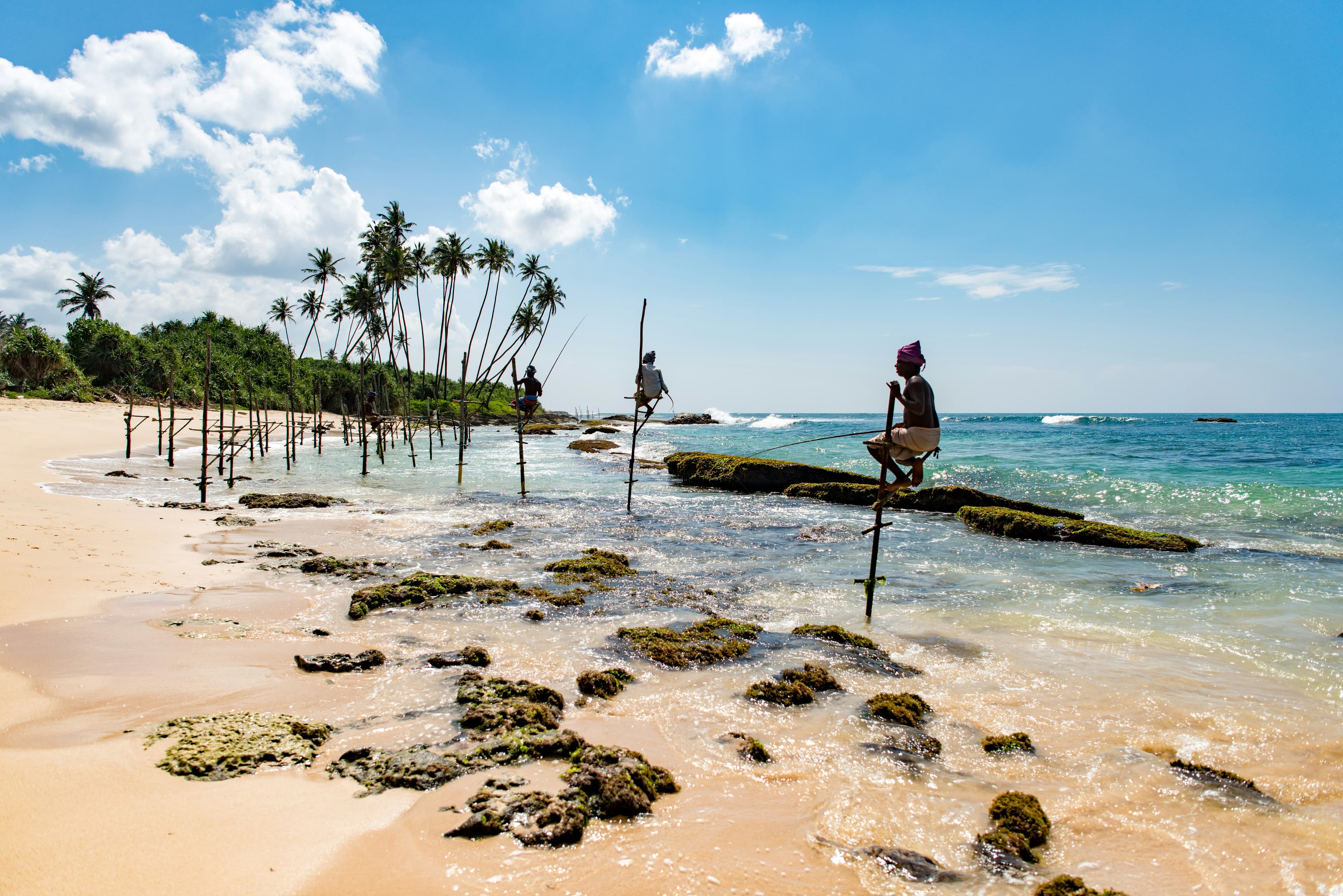 Stilt fishermen on wooden poles in the shallow coastal waters of Sri Lanka