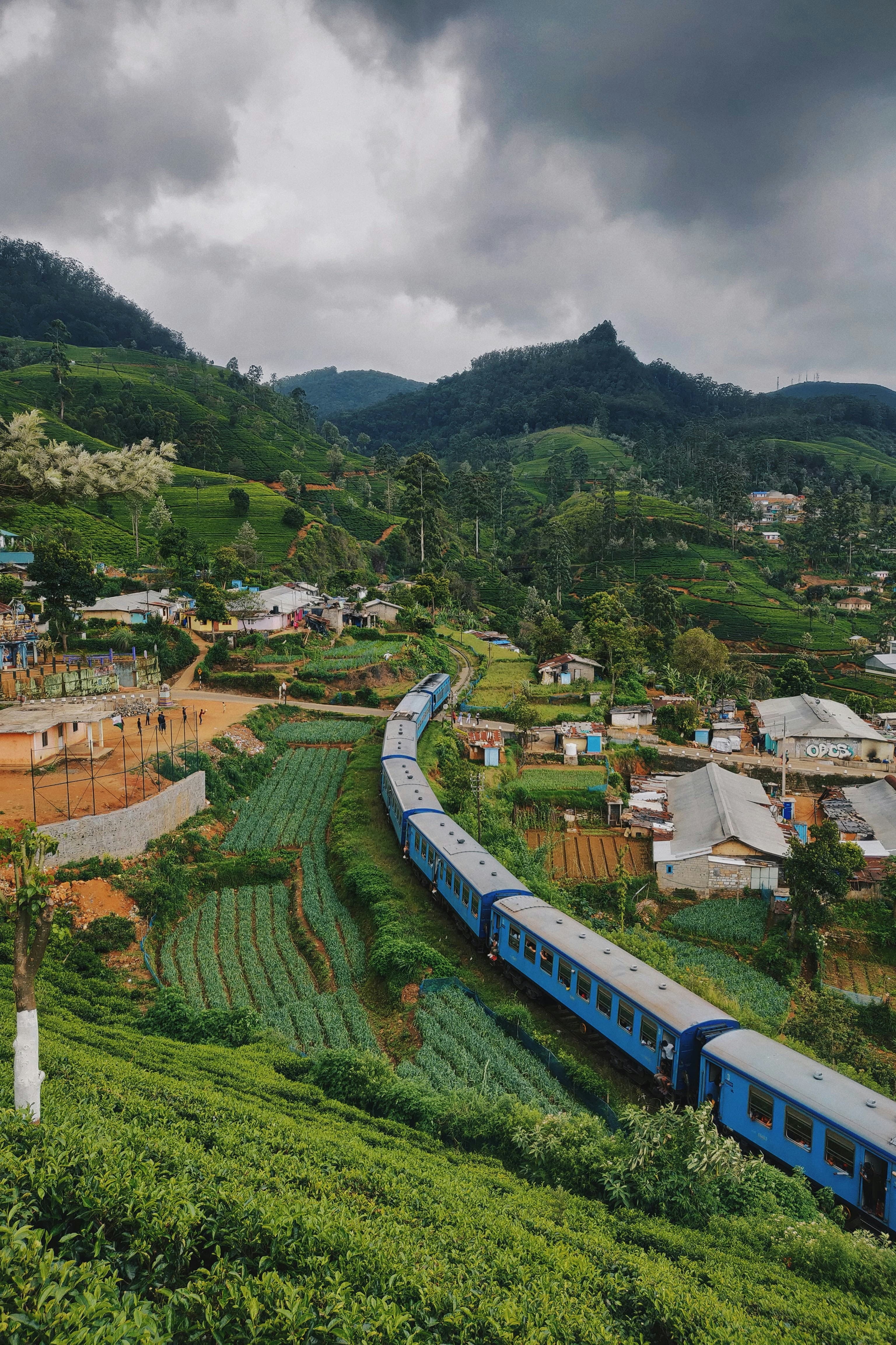 A blue train travelling past houses in the hill country