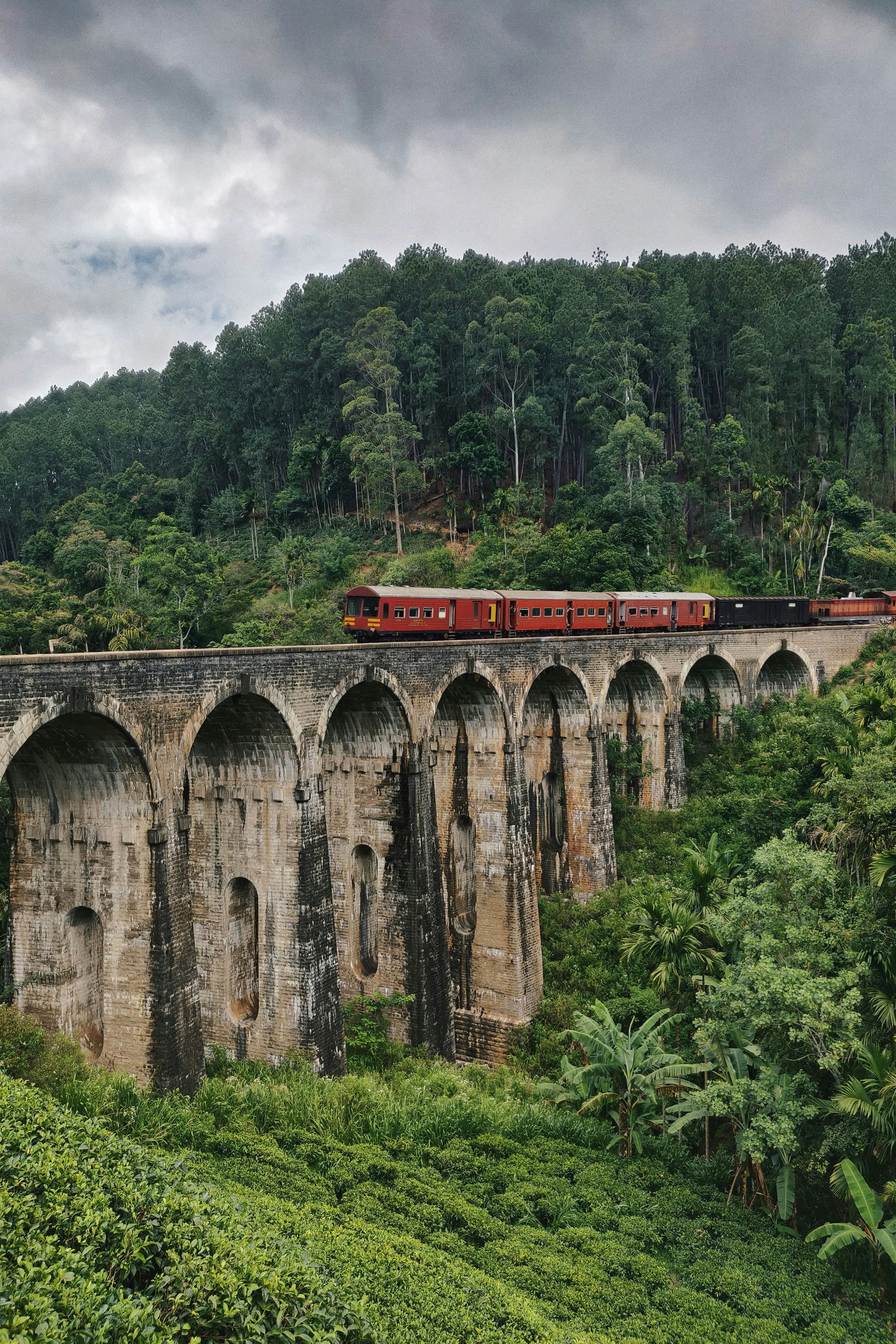 A train crossing a bridge through the forest near Ella